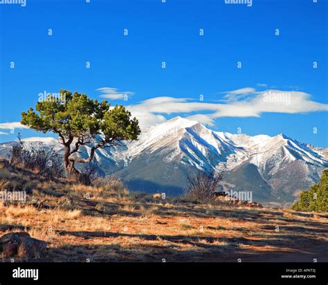 Landscape At Buena Vista Usa Colorado Stock Photo Alamy