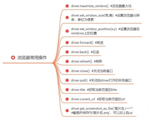 Selenium Selenium Python Selenium Xmind Csdn