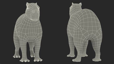 Capybara Fur 3D Model $129 - .max - Free3D