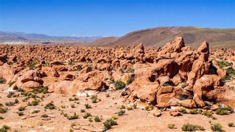 Landscape of the Bolivian Highlands. Desert Landscape of the Andean ...