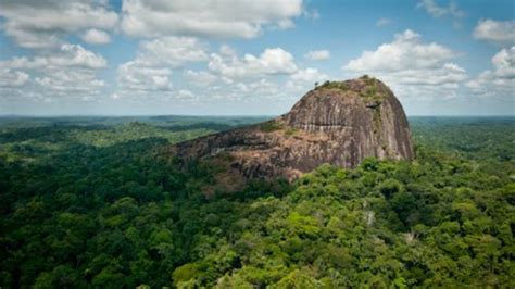 Guyane Fran Aise Dom Monts Tumuc Humac La Fronti Re Avec Le Br Sil