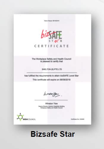 shelton shelton international