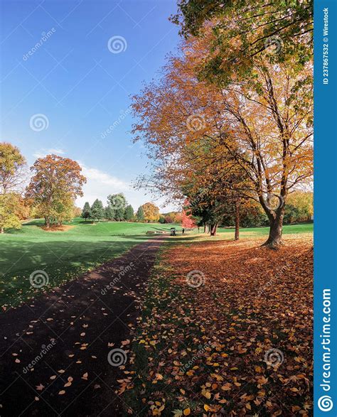 Vertical Shot Of A Park Covered In Yellowing Trees And Dried Leaves In