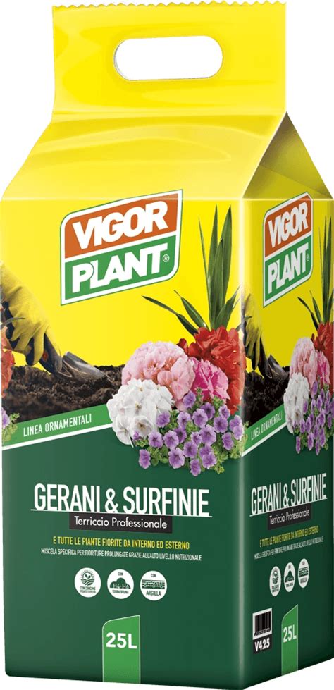 Terriccio Vigorplant Professionale Per Gerani E Surfinie L Obi