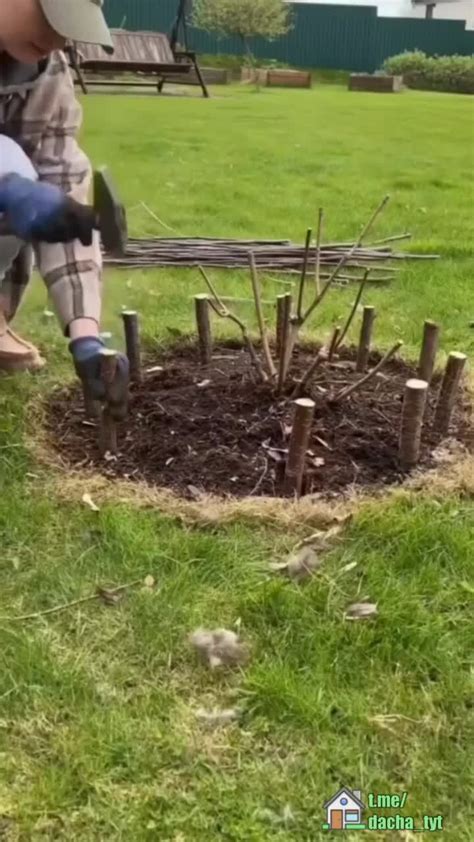 Плетеная клумба из ивовых прутьев | Дедушка Геннадий, 09 апреля 2024