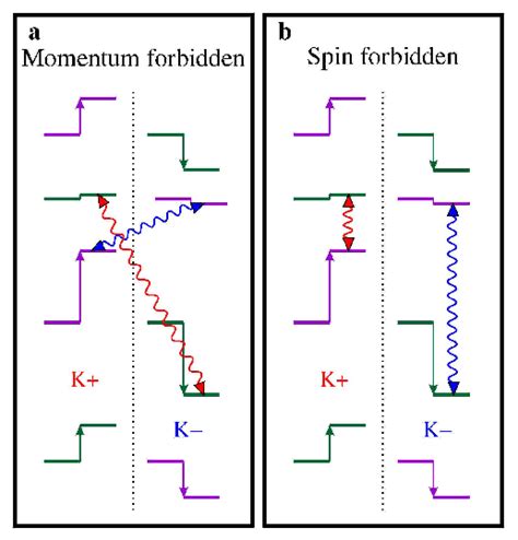 A Schematic Illustration Of Forbidden Transition In Darkish Sc TMD