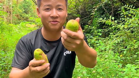 又到摘野果的季节，小伙独自一人进山寻找，摘了2个鹅蛋大的野果 三农视频 搜狐视频