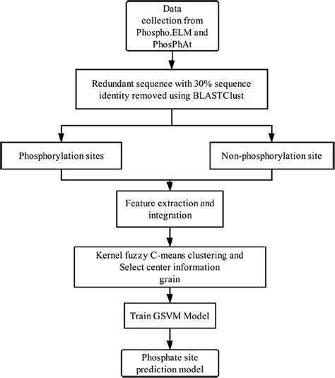 The flowchart of phosphorylation site prediction based on kernel fuzzy ...