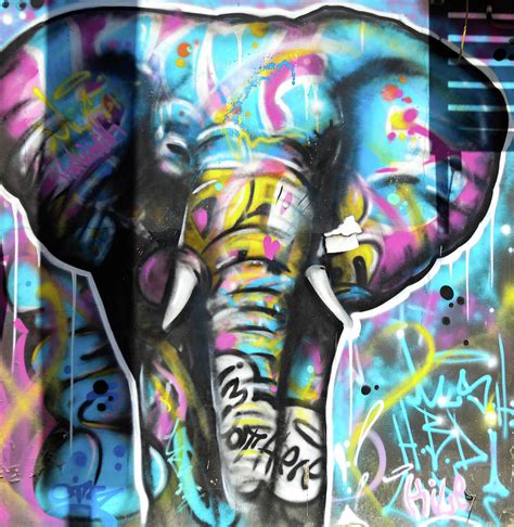 Graffiti Elephant Photograph By Brittney Davis Fine Art America