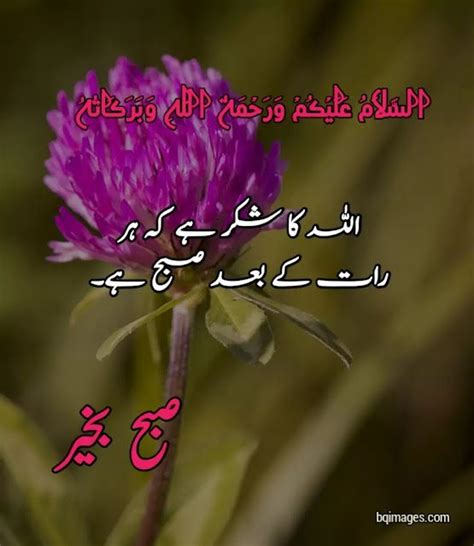 30 Beautiful Good Morning Wishes Dua In Urdu Images Bqimages Beautiful Pictures With