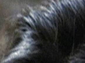 CAPTAIN CORELLI S MANDOLIN NUDE SCENES AZNude