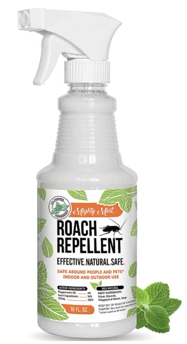 Pet Safe Roach Killer We Tested Pet Safe Roach Control Options