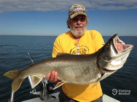 Great Lake Trout And Brown Trout Fishing Pulaski Fishing Report