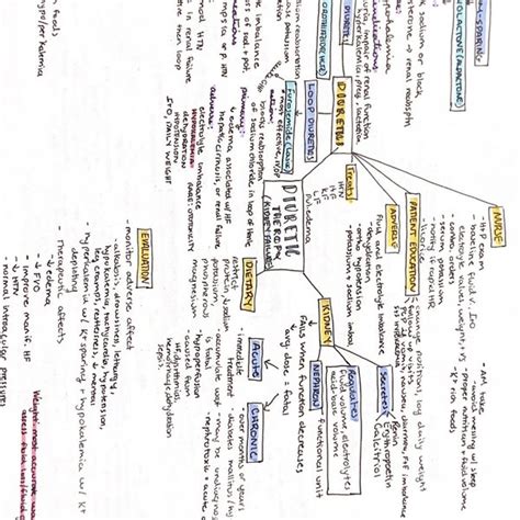 Pharm Concept Map Etsy