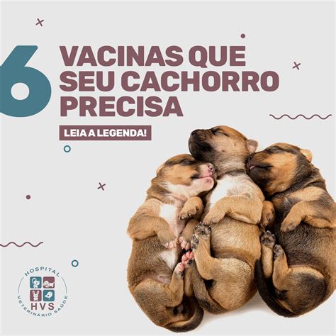 Nomes para empresas de consultoria empresarial – Artofit