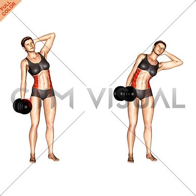 Dumbbell Side Bend (female)