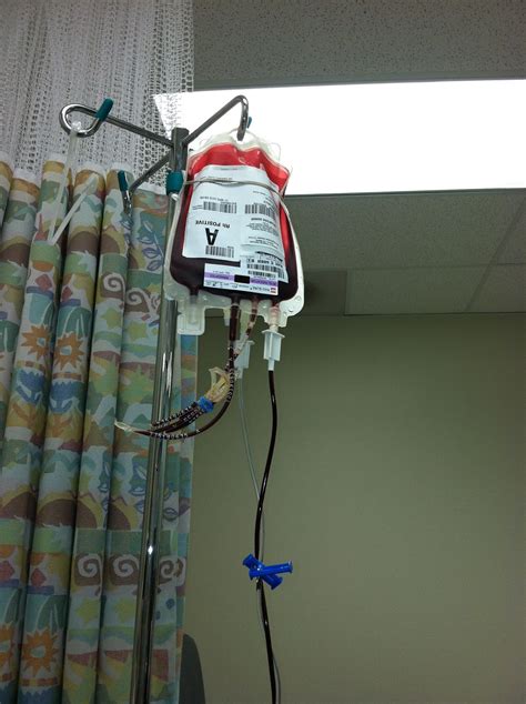 Jm S Adventure With Multiple Myeloma Labs Blood Transfusion And A