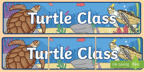 Free Turtle Themed Classroom Display Banner Twinkl