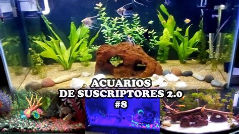 ACUARIOS DE SUSCRIPTORES 2 0 8 Ciclidos Pez Escalar Pez Goldfish