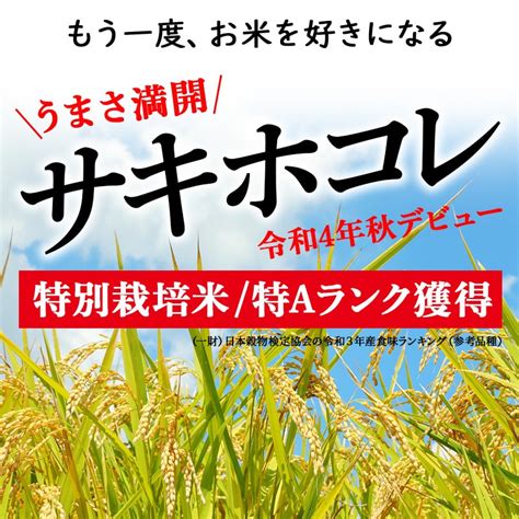 【玄米】＜新米＞《定期便8ヶ月》秋田県産 サキホコレ 特別栽培米 3kg3kg×1袋×8回 令和5年産 3キロ お米 開始時期選べる