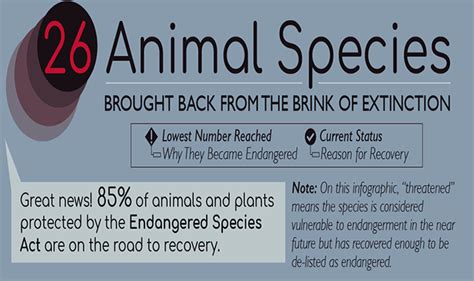 26 Animals Brought Back From The Brink Of Extinction Infographic