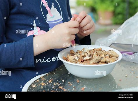 young girl shelling peanuts into a plate in the backyard Stock Photo ...