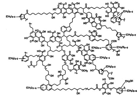 Humic Acid Structure