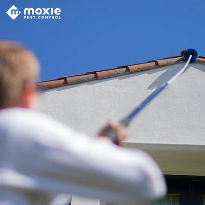 MOXIE PEST CONTROL - PHOENIX - Updated January 2025 - 136 Photos & 572 ...