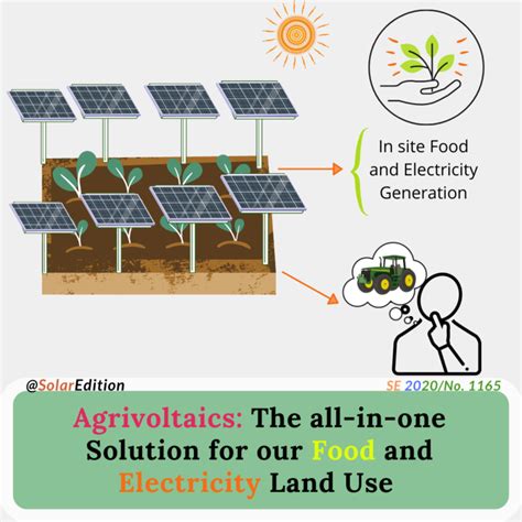 Agrivoltaics The All In One Solution For Our Food And Electricity Land