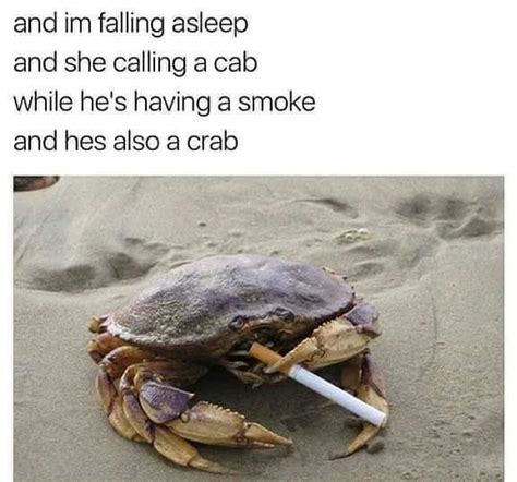 The best crab memes :) Memedroid