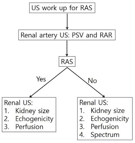 Renal Artery Ultrasound Encyclopedia Mdpi