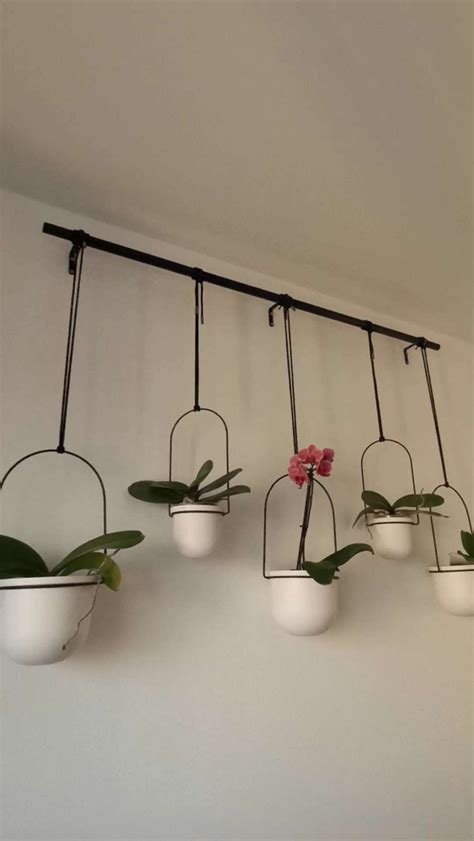 Подвесные кашпо для цветов Umbra Triflora, 5 шт, черные - купить по ...