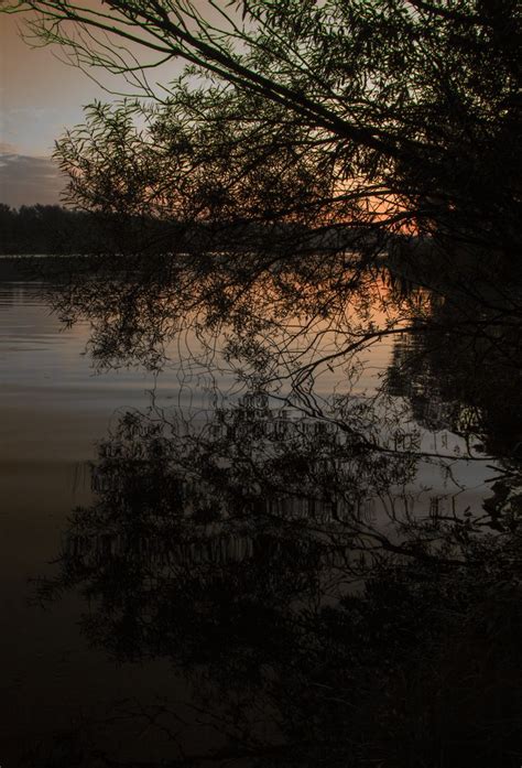 Sunrise Reflection on a Lake