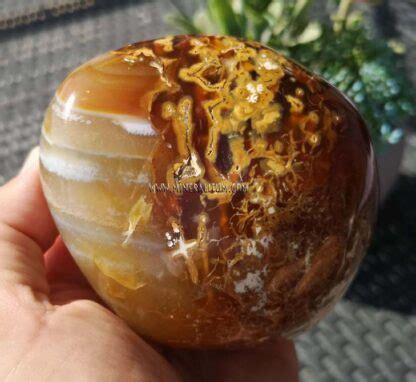 Caramel Agate Mineralitum Exclusive Minerals Online Mineral Shop