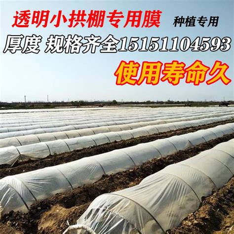 白色塑料薄膜小拱棚膜保温蔬菜大棚膜地膜防水塑料薄膜公路防护膜虎窝淘