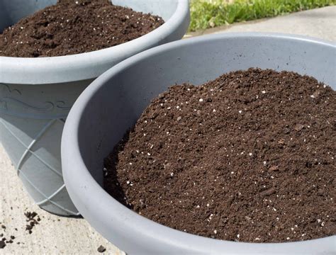 How To Properly Store Potting Soil