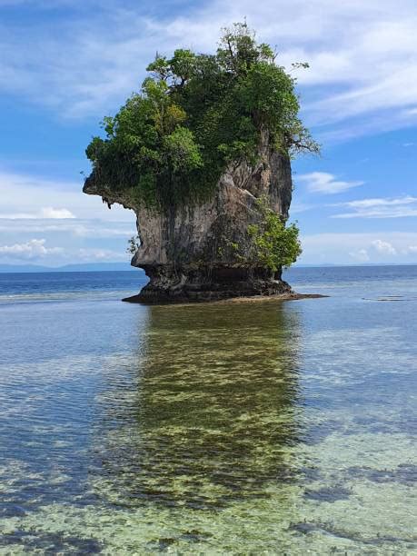 130+ Pulau Biak Foto Foto Stok, Potret, & Gambar Bebas Royalti - iStock