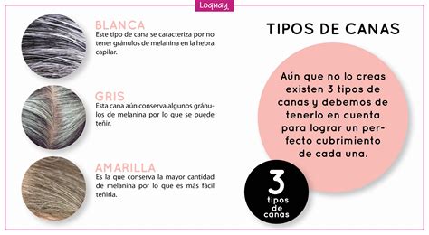 Tipos De Canas