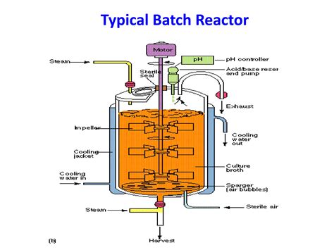 bioreactor types  detail  diagrams