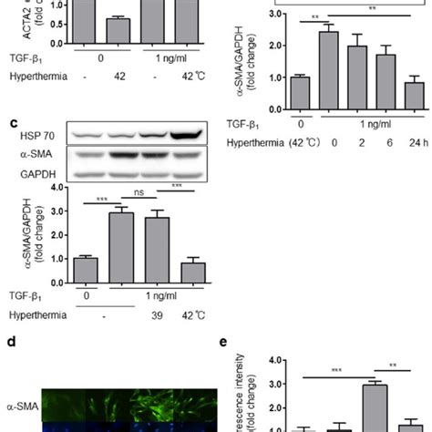 Tgf Increased Il Mrna Expression Il Production And Sma