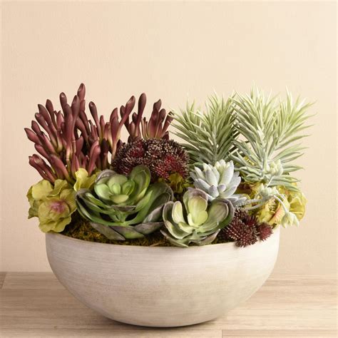 10+ Cactus And Succulent Arrangements – DECOOMO