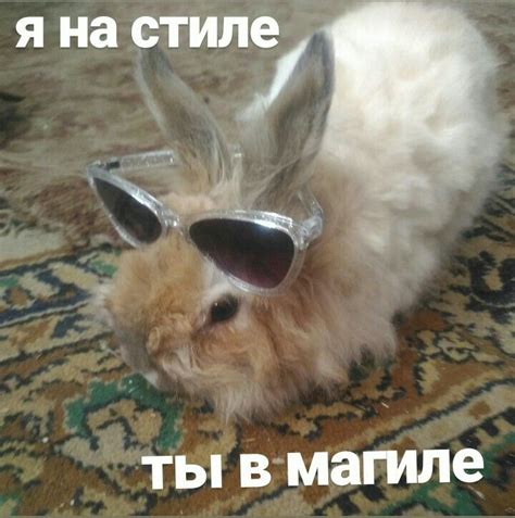 Мемы от кролика | Мемы, Кролик, Крольчата