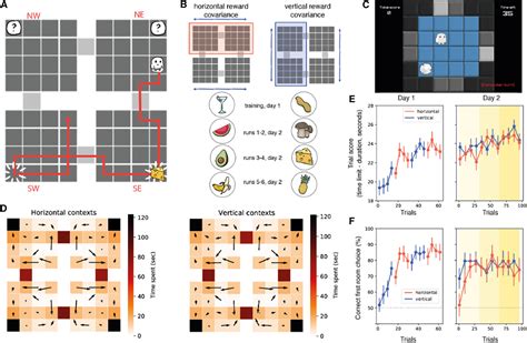 Cognitive maps in some brain regions are compressed during goal-seeking ...