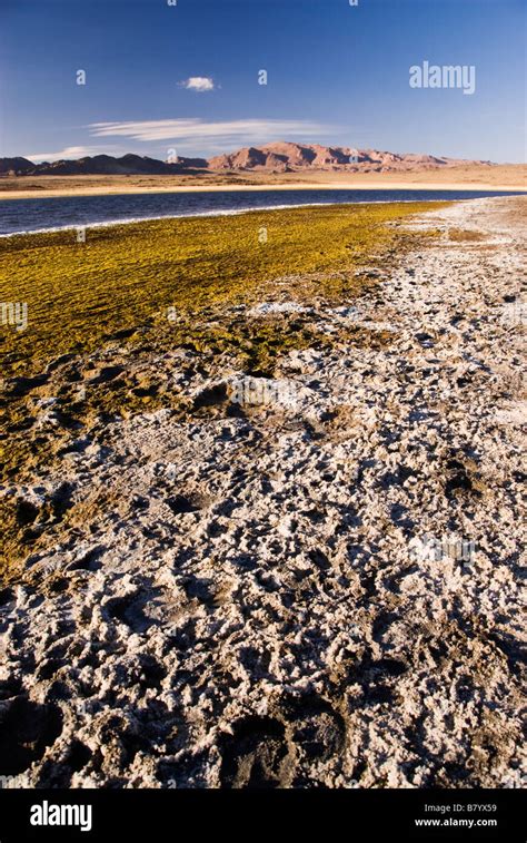 Landscape of the Mongolian steppe Central Mongolia Stock Photo - Alamy