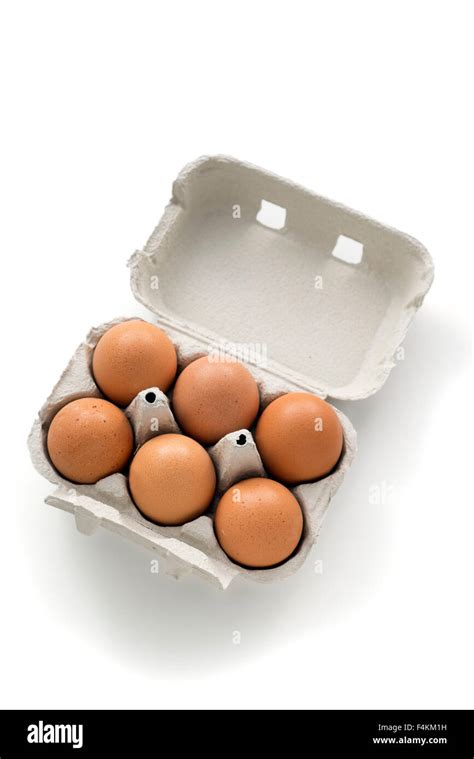 Dozen Eggs Carton