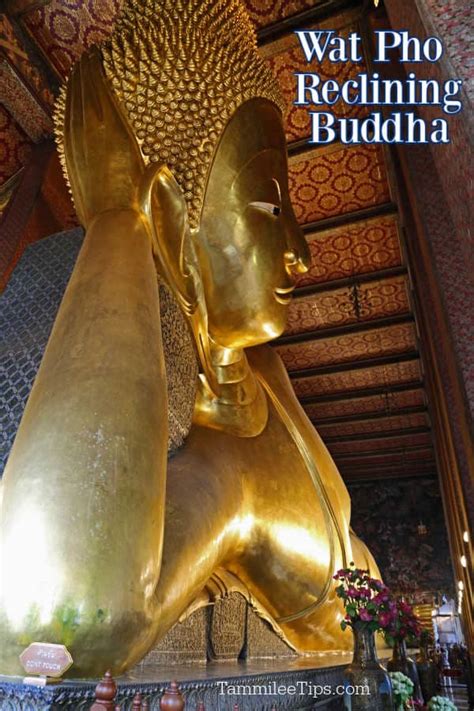 Wat Pho Reclining Buddha in Bangkok Thailand - Tammilee Tips