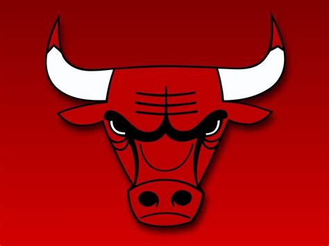 Bulls Flourless Journal Efecto