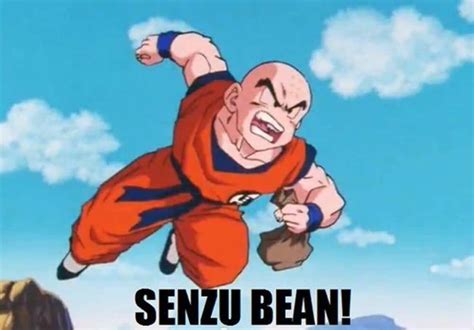 dragon ball  trivia  facts ranked