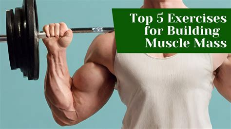 Top 5 Exercises For Building Muscle Mass🏋🏻‍♀️ Youtube