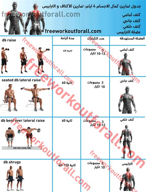 جدول تمارين كمال الاجسام 4 ايام للتضخيم 2024